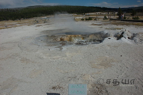 Biscuit Basin - Avoca Spring