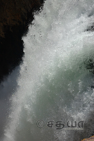 Grand Canyon of the Yellowstone - Brink of Lower Falls