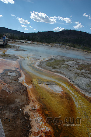 Biscuit Basin - Algae