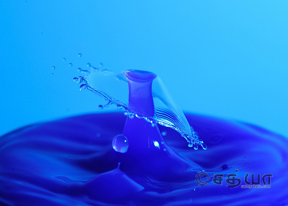 _DSC7549B.jpg