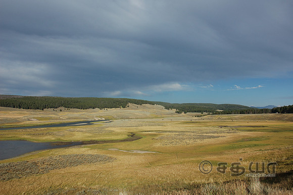 Scenery - Hayden Valley