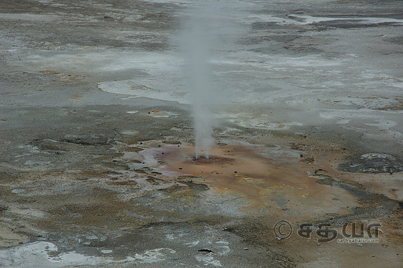 Steam Vent @ Norris Geyser Basin