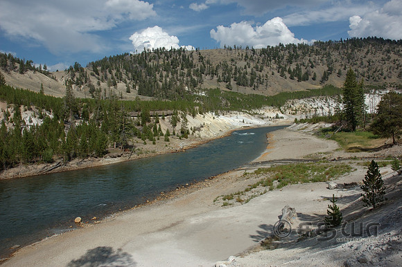 Scenery - Yellowstone River @ Tower Falls