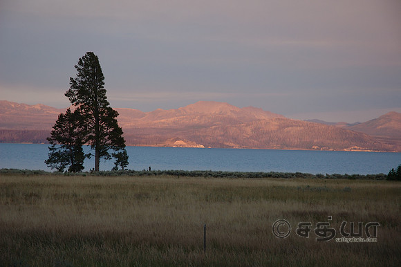 Scenery - Yellowstone Lake Landscape