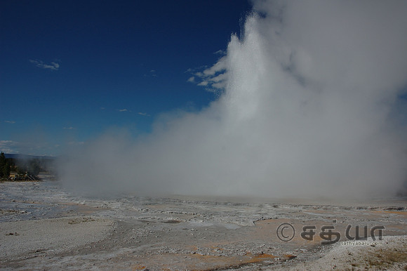 Great Fountain Geyser @ Firehole Lake Drive