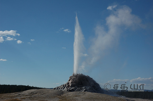 White Dome Geyser @ Firehole Lake Drive