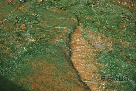 Photopigments @ Norris Geyser Basin