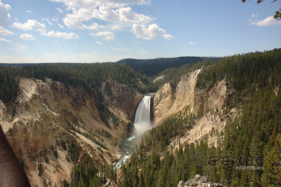 Grand Canyon of the Yellowstone - Lower Falls