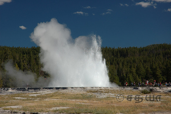 Great Fountain Geyser @ Firehole Lake Drive