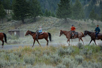 Others - people riding in horses @ Roosevelt area
