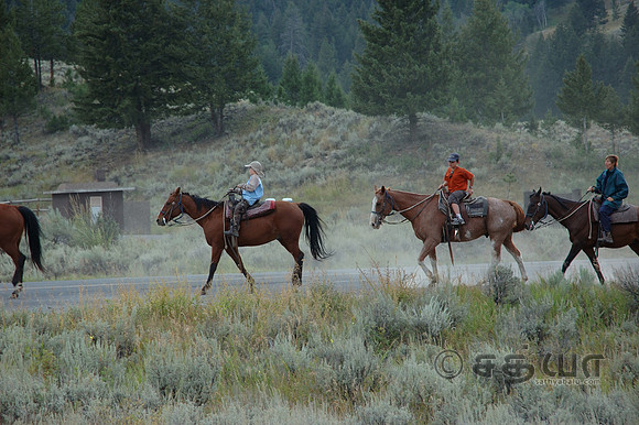 Others - people riding in horses @ Roosevelt area