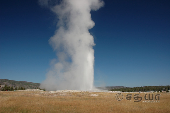Old Faithful Geyser
