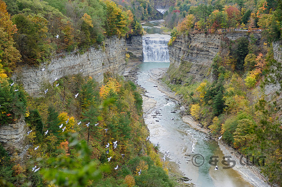 _DSC7552
