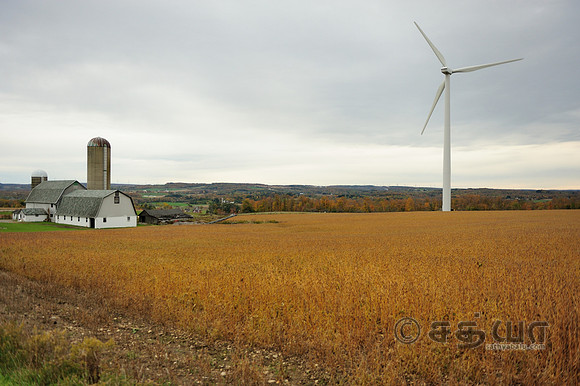 _DSC7608
