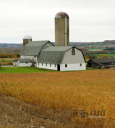 _DSC7611