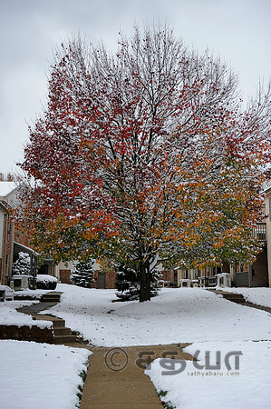 _DSC2256_1.jpg