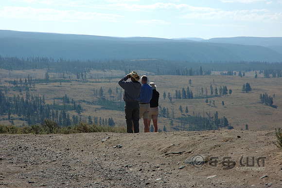 Watching for Grizley Bear