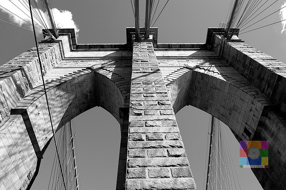 _DSC2695BW