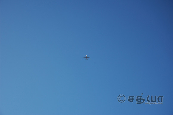 Flight in the distance