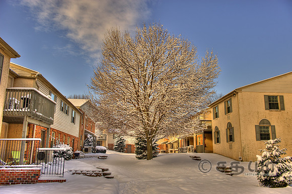 _DSC2589_90_91.jpg