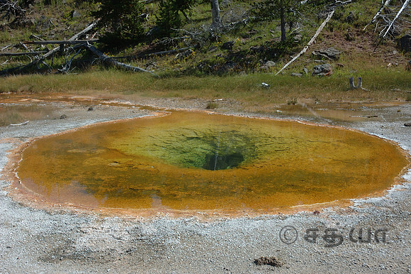 Chromatic Spring @ Upper Geyser Basin