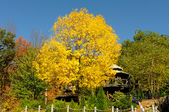 _DSC2775
