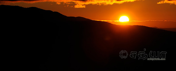 _DSC2429