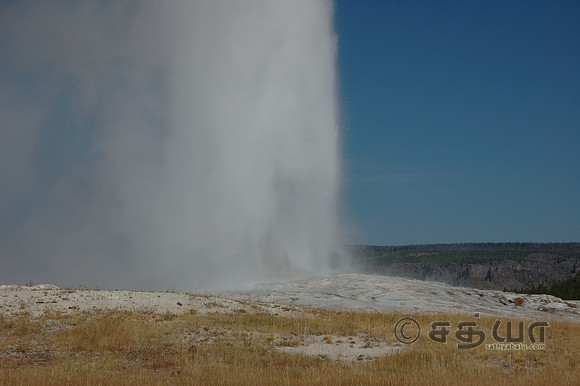 Old Faithful Geyser