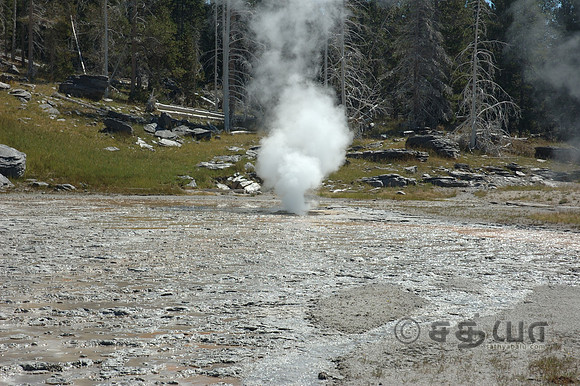 Upper Geyser Basin