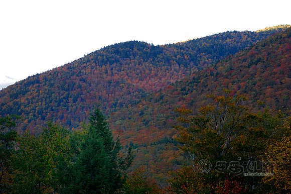 _DSC2805