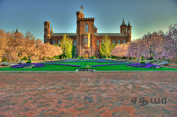 _DSC2700_1_2_3_4.jpg