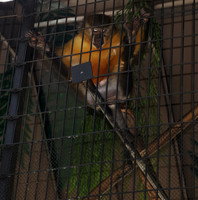 _DSC1299