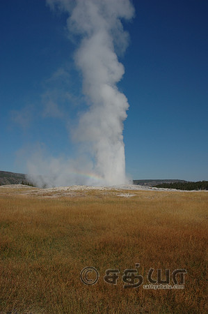 Old Faithful Geyser