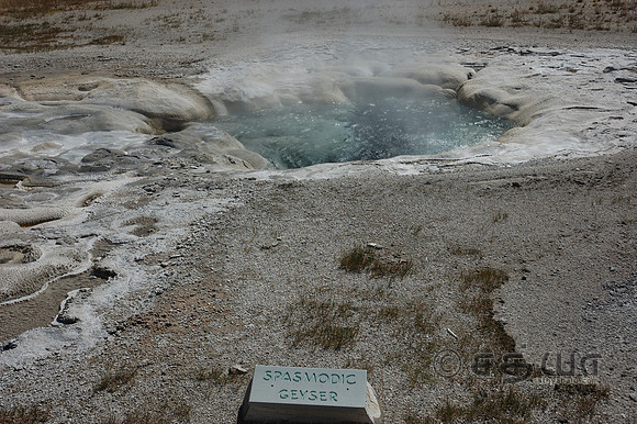 Spasmodic Geyser