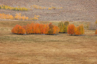 Eastern Sierra