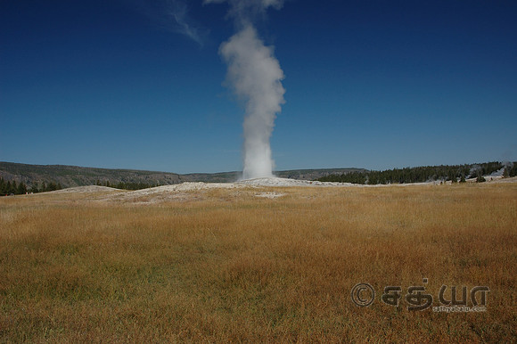 Old Faithful Geyser