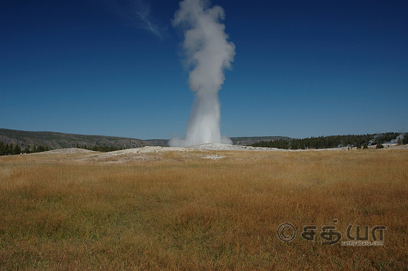 Old Faithful Geyser
