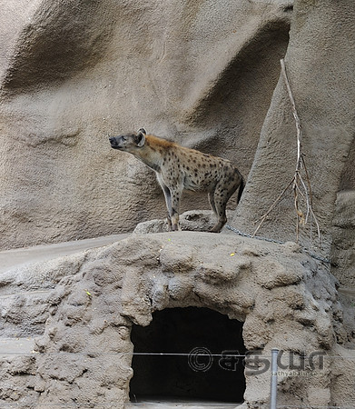 _DSC1274
