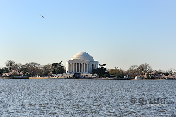 _DSC2753.jpg