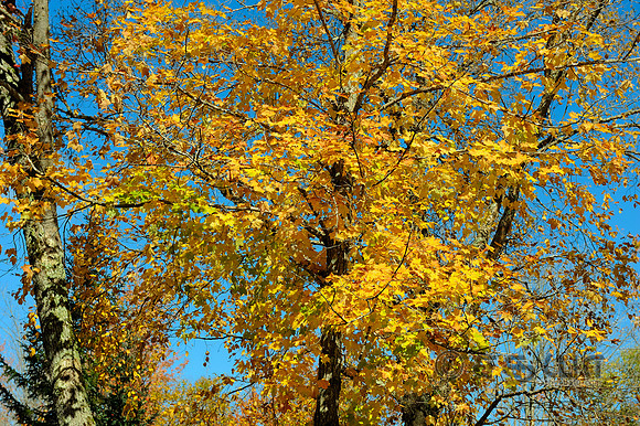 _DSC2573