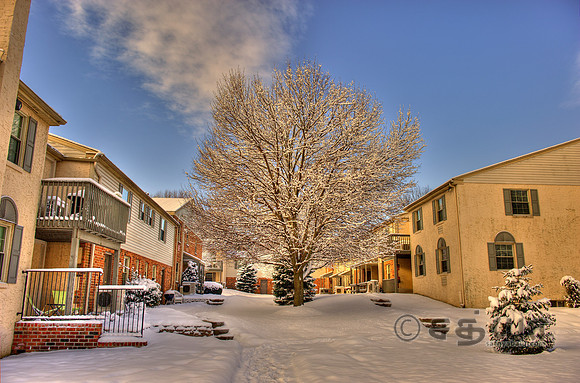 _DSC2595_6_7.jpg