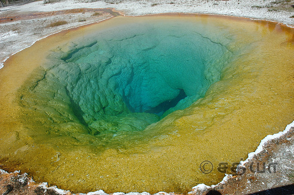 Morning Glory Pool @ Upper Geyser Basin