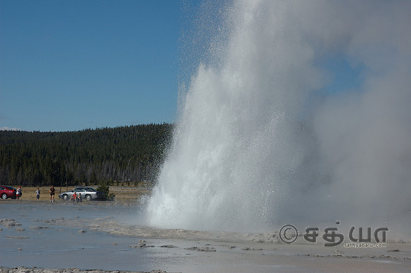 Great Fountain Geyser @ Firehole Lake Drive