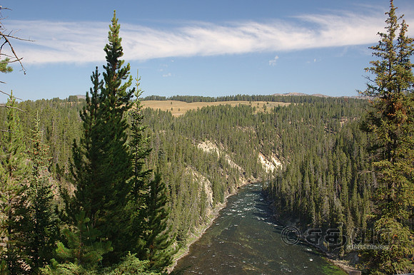 Scenery - Yellowstone River