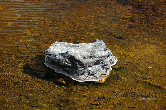 Others - Small Rock in a Algae