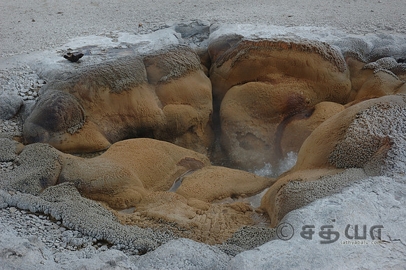 Biscuit Basin - Shell Geyser