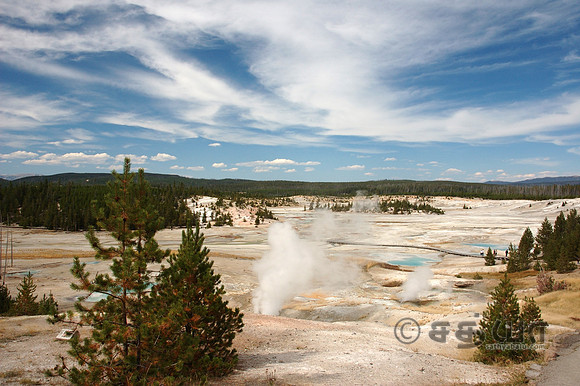 Scenery - Porcelain basin @ Norris Geyser