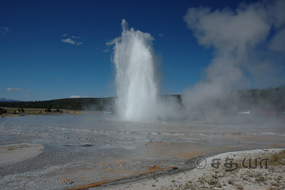 Great Fountain Geyser @ Firehole Lake Drive