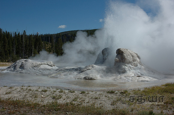 Grotto Geyser @ Upper Geyser Basin