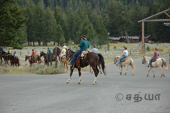 Others - People riding horses @ Roosevelt area